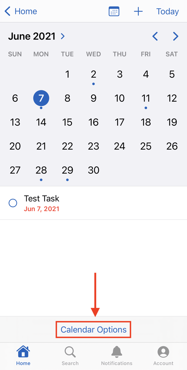Can I View My Team Members’ Calendars on a Mobile Device? (iOS)