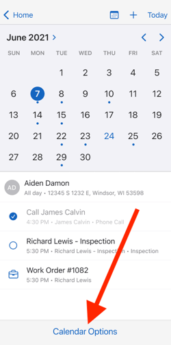 Mobile App - Apple - Calendar options